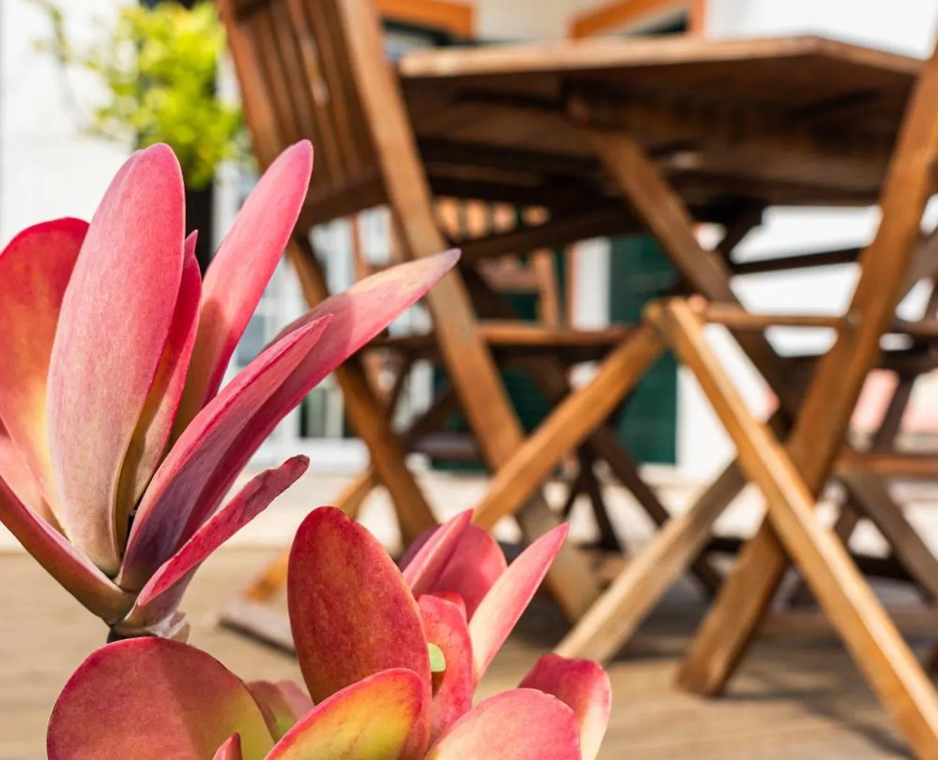 Casa Codebo - Bed & Breakfast Aljezur